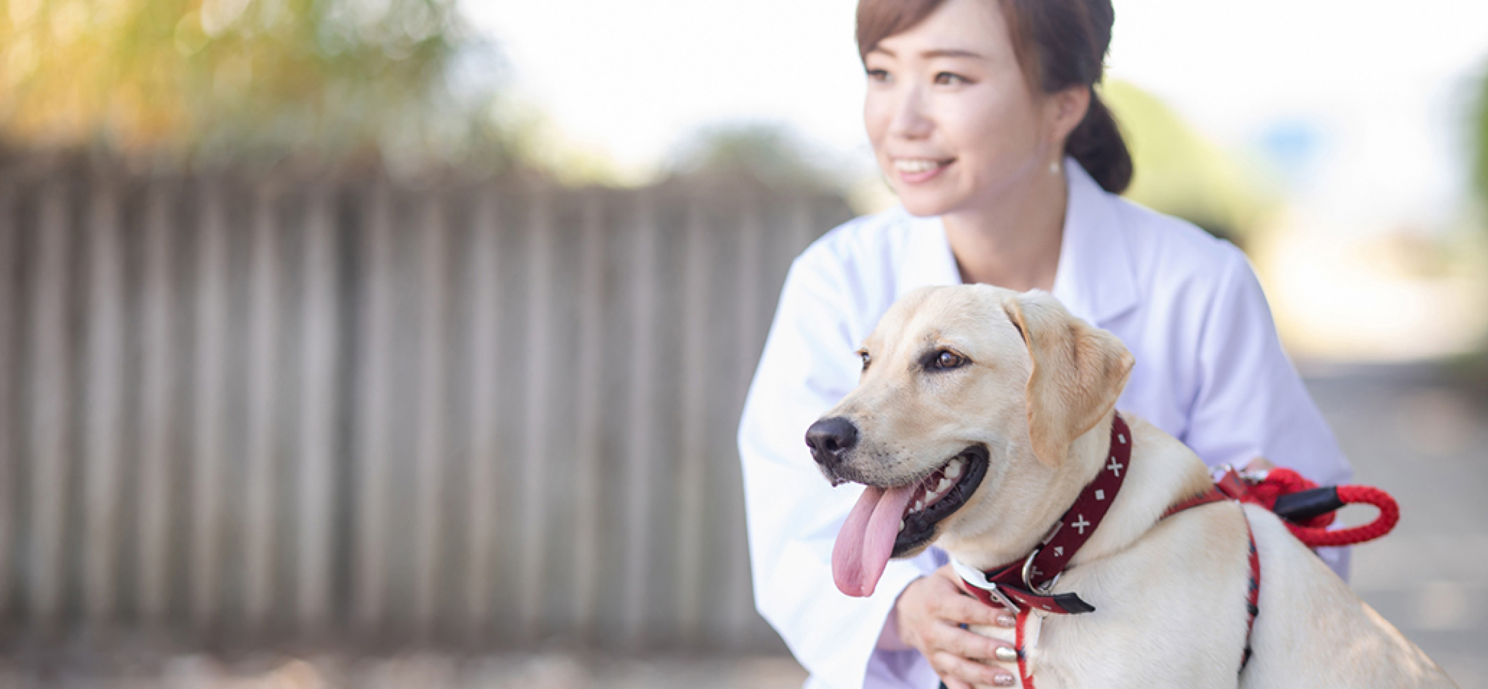 女性が犬を撫でている写真